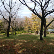 IMG-20221121-113959