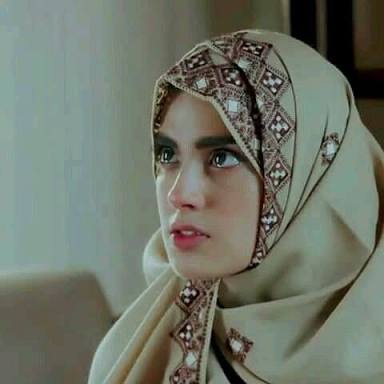 [Image: images-7.jpg]