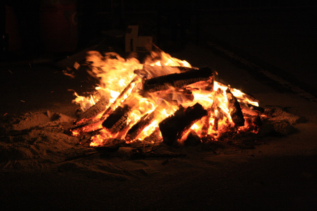 IMG-8477