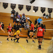 IMG-0088