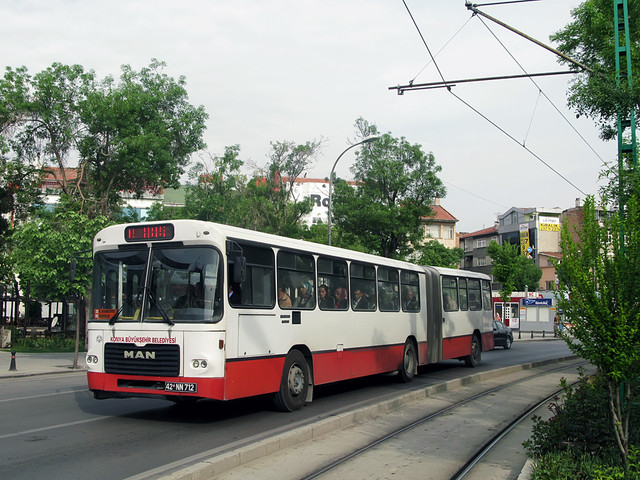 IMG-6319