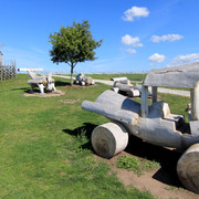 IMG-1546