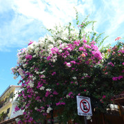 P1100559
