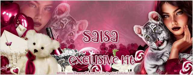 Salsa-Val22-Coupon-Exclusive-Kit