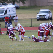 IMG-2297