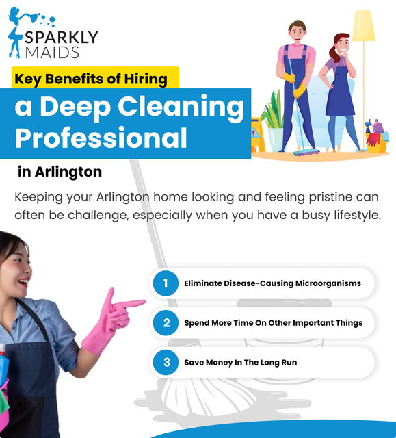 sparklymaids-com-1