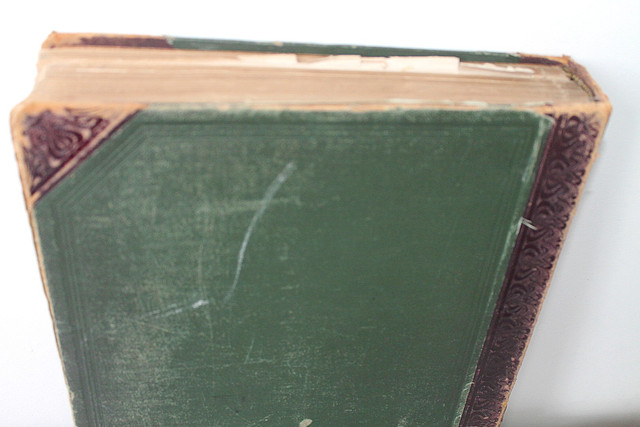 IMG-7629.jpg