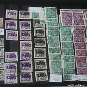 IMG-3595