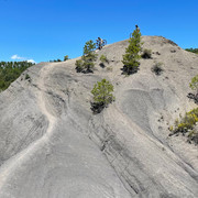 Ki06-30