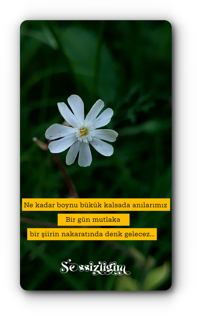 20180624-1902288.png