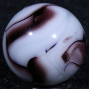 IMG-9675-Sharpen-AI-Motion
