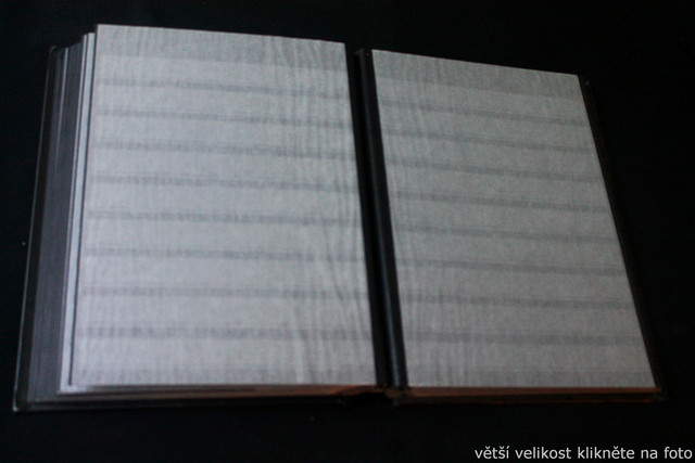 IMG-6858.jpg