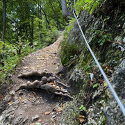IMG-2986