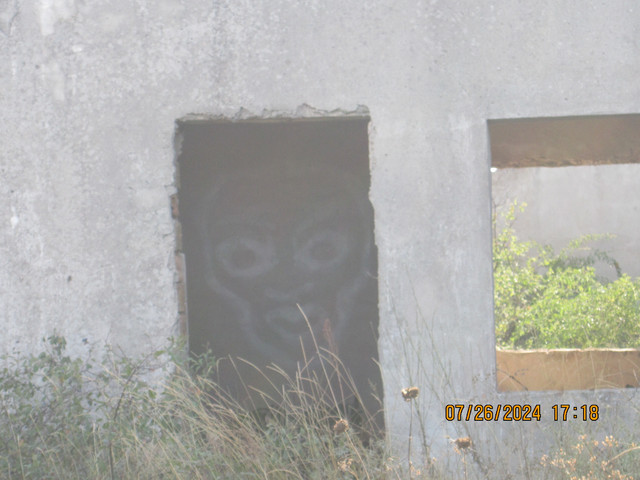 IMG-2240