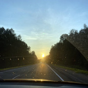 IMG-0441