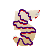 31