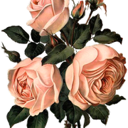 ac9c724cf6a6f06af95efc8581832f74