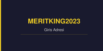 Meritking2023