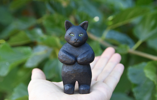 cat