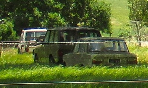 Old Cars.jpg