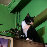 IMG 20260503 044018