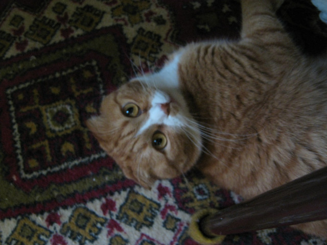 IMG-6227.jpg