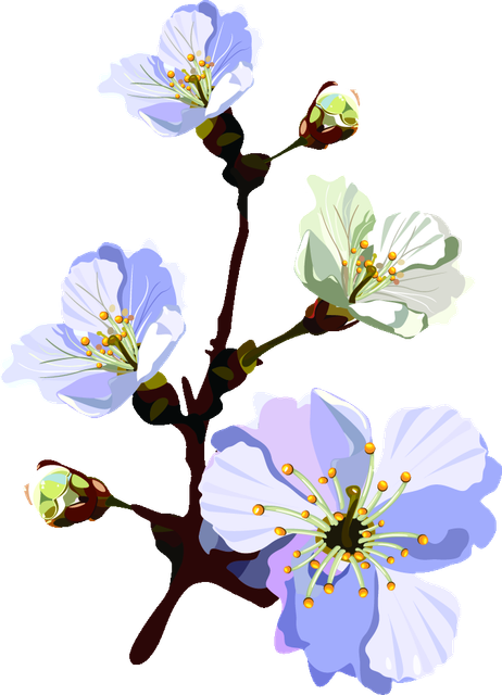 fe18d399b39e8a841ca78eebaef00497.png