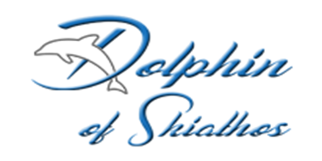 Dolphin.png