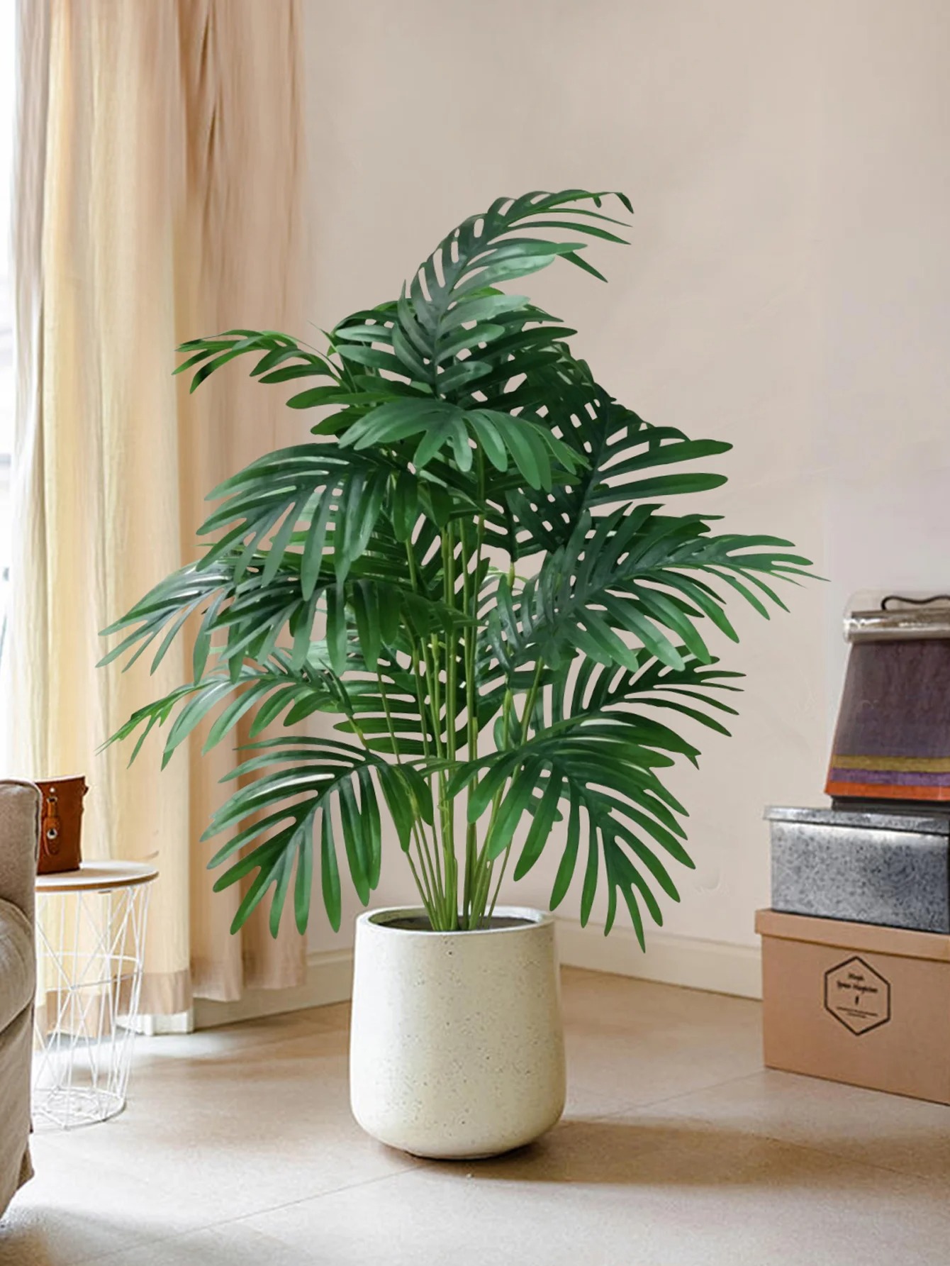 main image 1