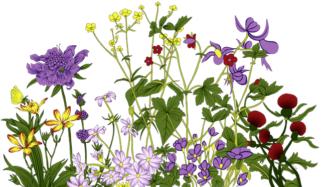 6dcc151fbca9bffeb10525384d2f1b6a.png