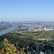 IMG-1951