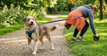 National Pooper Scooper Awareness Week Highlights Dog Waste Issue