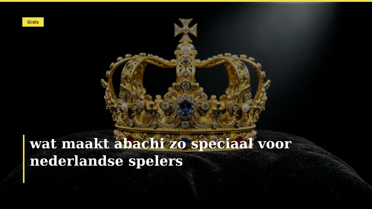 wat maakt abachi zo speciaal voor nederlandse spelers