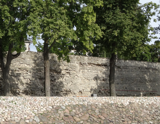 DSC06285-5