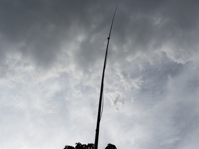 IMG 7243.jpg
