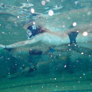 DSCN1964