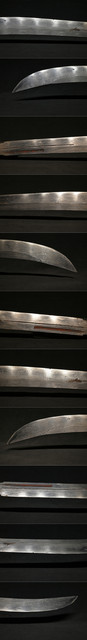 DSC0369.jpg