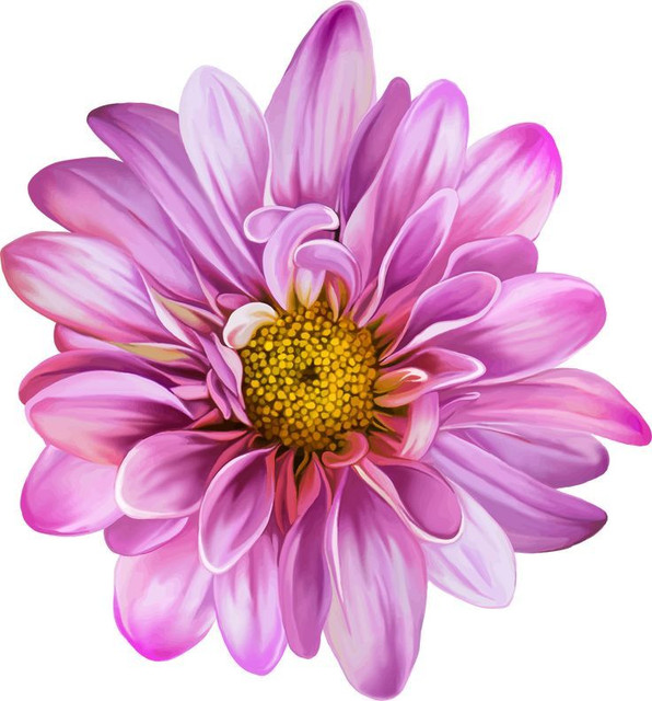 e954fd617d7d3bcf349fcff1ef0fd8fb.jpg