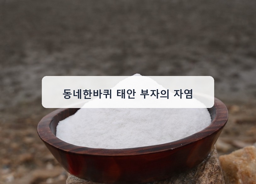 동네한바퀴 태안 부자의 자염 대표 이미지