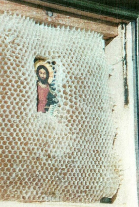 [Image: 324234234.jpg]