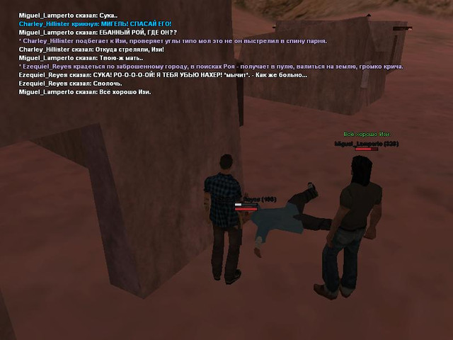 gallery335.jpg