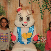 Bunny2026 86