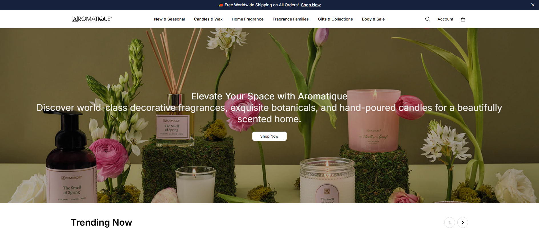 Stored capture of aromatiquehome.shop