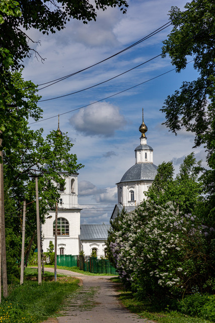 IMG 2460.jpg