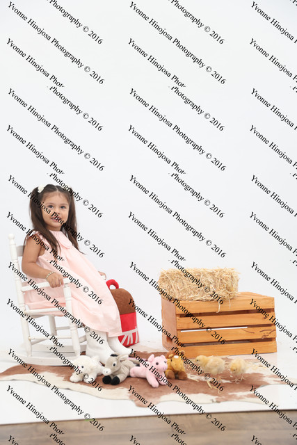 IMG 0955