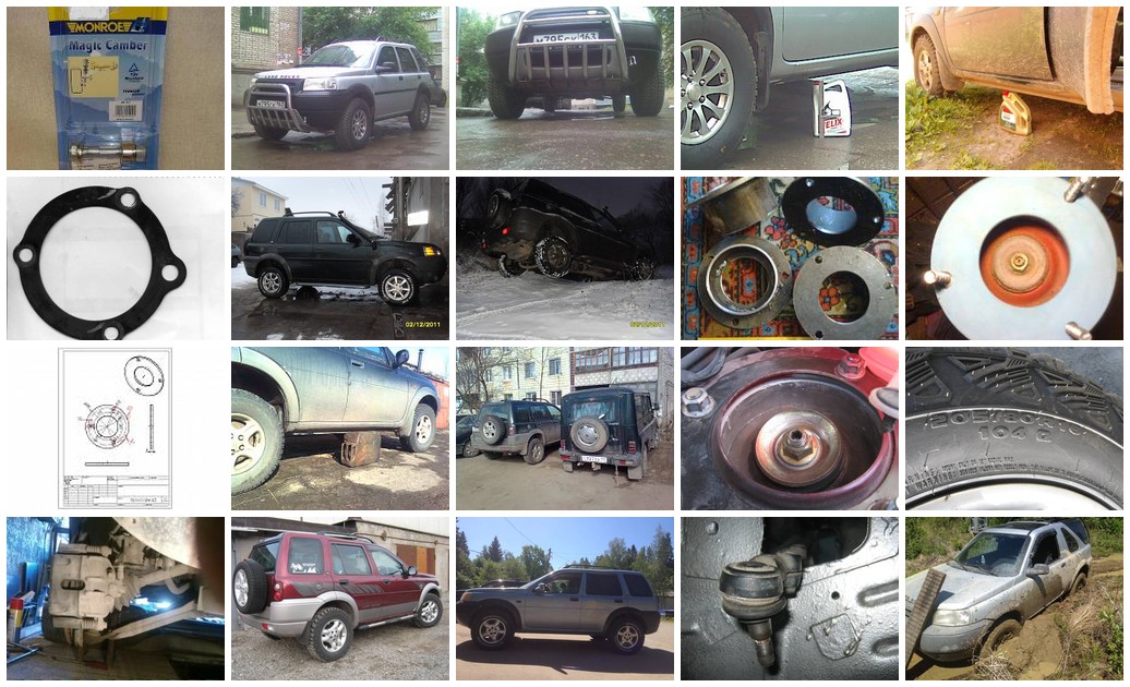 https://i.ibb.co/bMWPrXgh/1334-collage.jpg