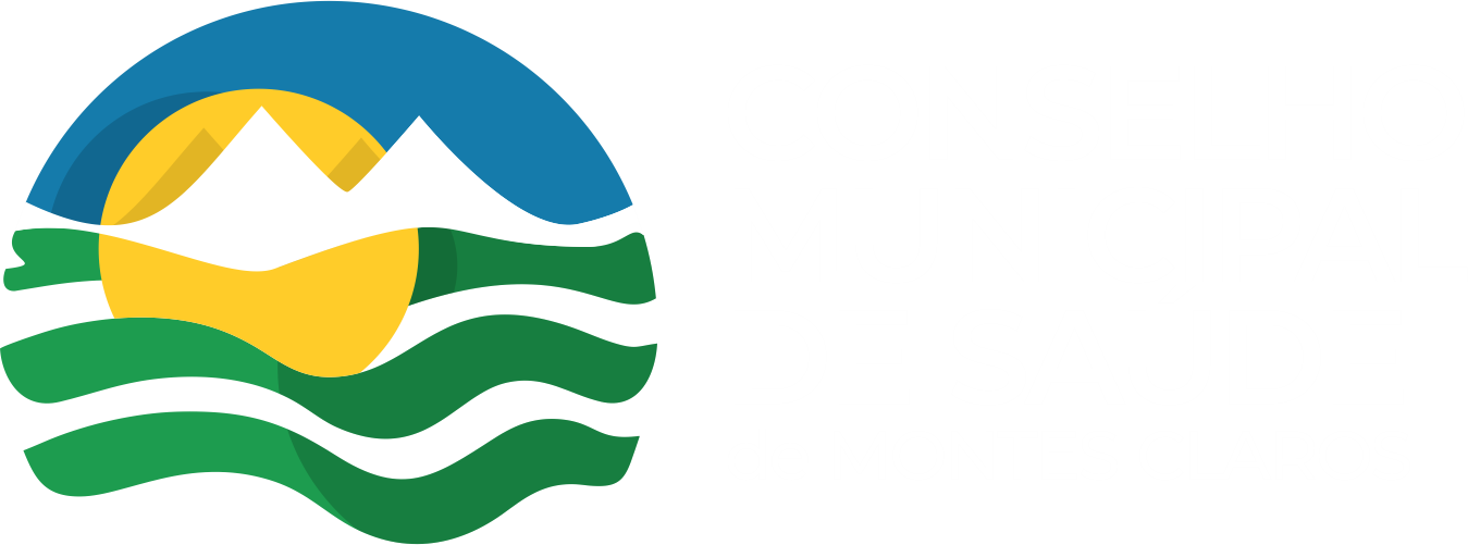 Conselho Municipal de Saúde Montes Claros