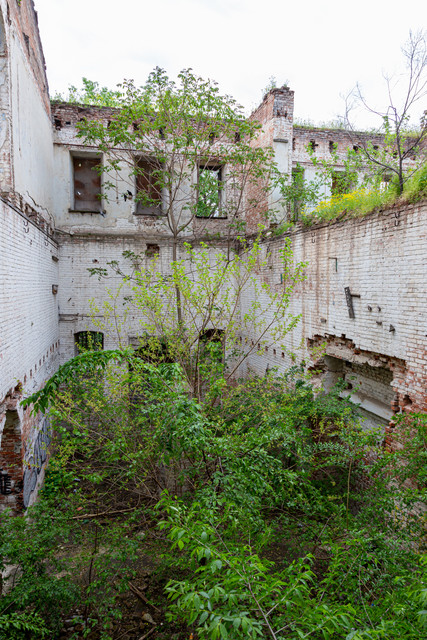 IMG 0383.jpg