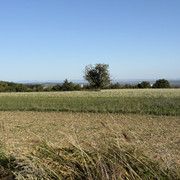 IMG-0373