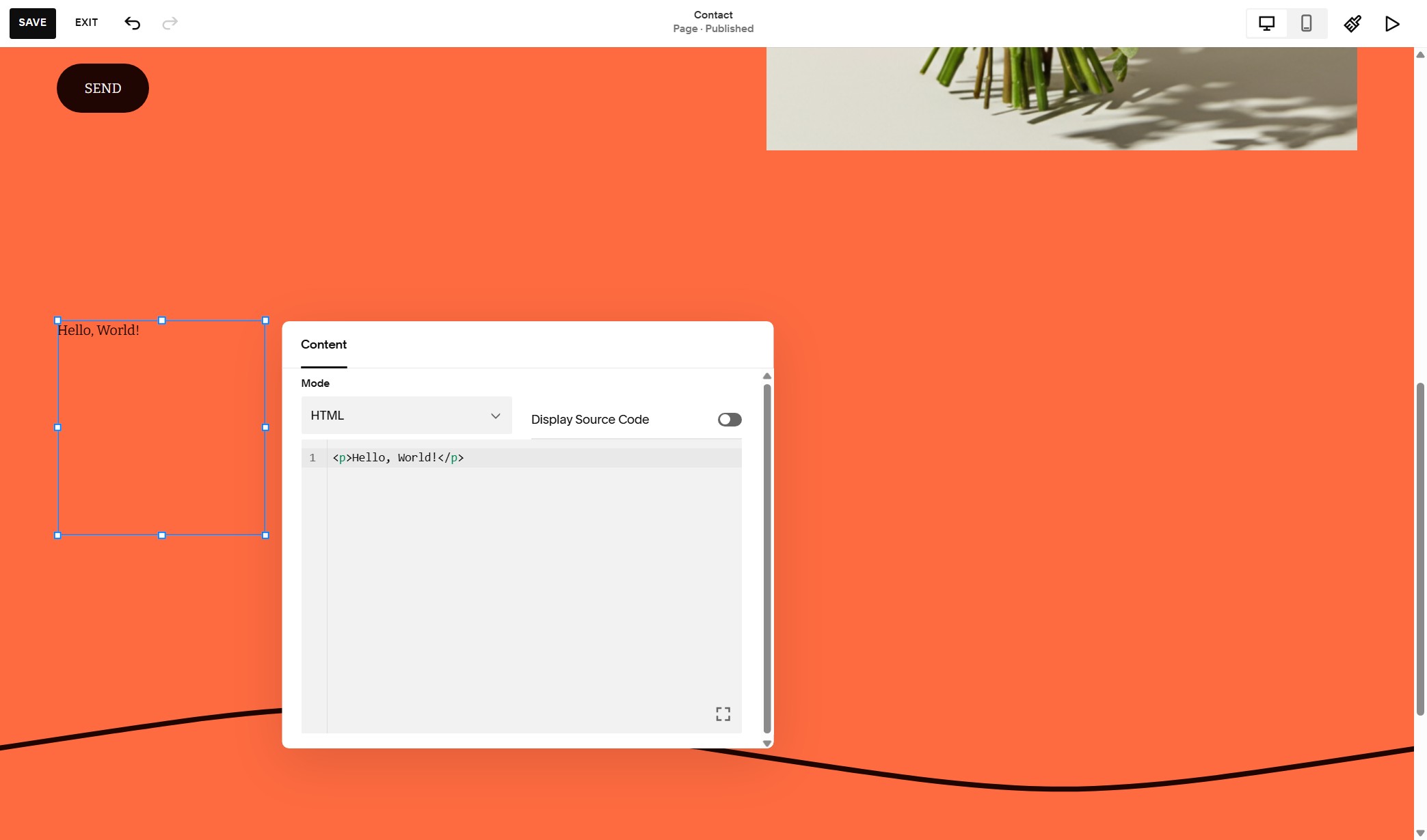 Widget code pasted into Code block